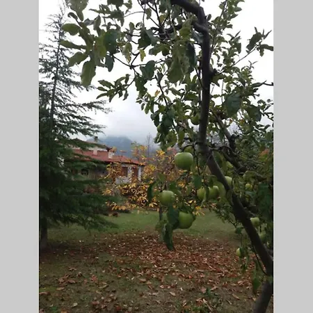 Elegance In The Nature * Agios Nikolaos (Imathia)